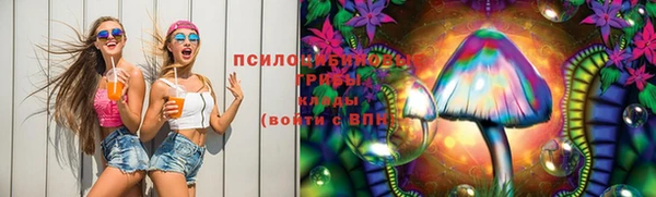 ГАЛЛЮЦИНОГЕННЫЕ ГРИБЫ Алзамай