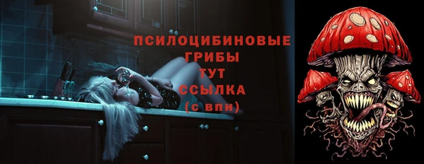 ГАЛЛЮЦИНОГЕННЫЕ ГРИБЫ Алзамай