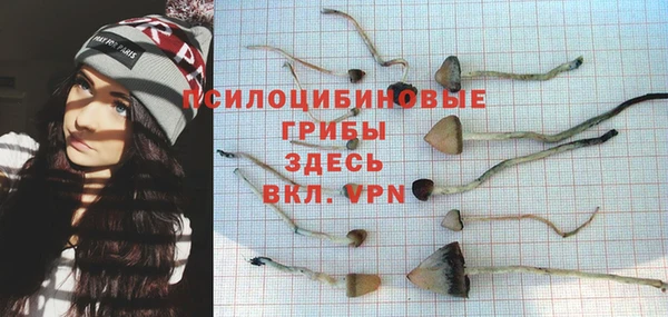 гидра Алексеевка