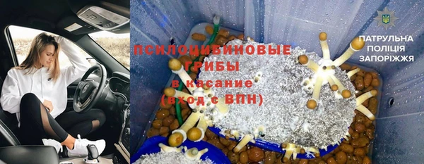 гидра Алексеевка