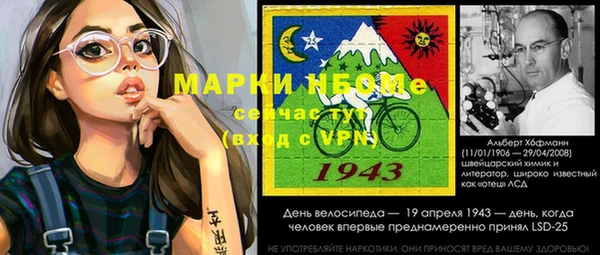 СК Алексин