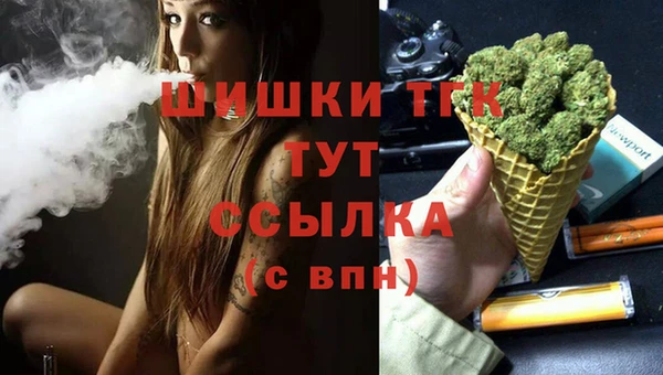 СК Алексин