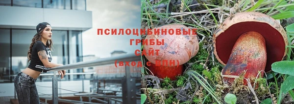 ГАЛЛЮЦИНОГЕННЫЕ ГРИБЫ Алзамай