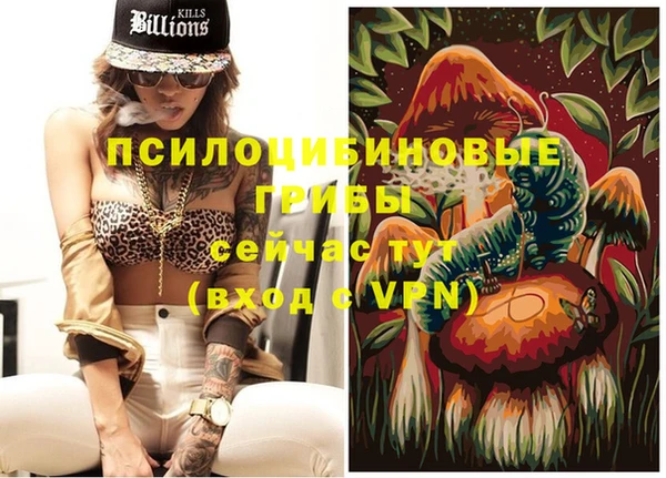 ГАЛЛЮЦИНОГЕННЫЕ ГРИБЫ Алзамай