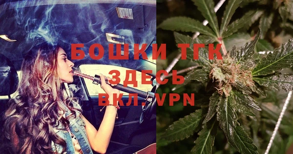 гидра Алексеевка