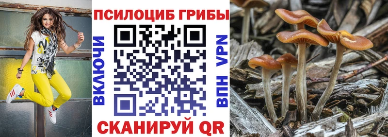 хочу наркоту  Ивангород  Галлюциногенные грибы мицелий 